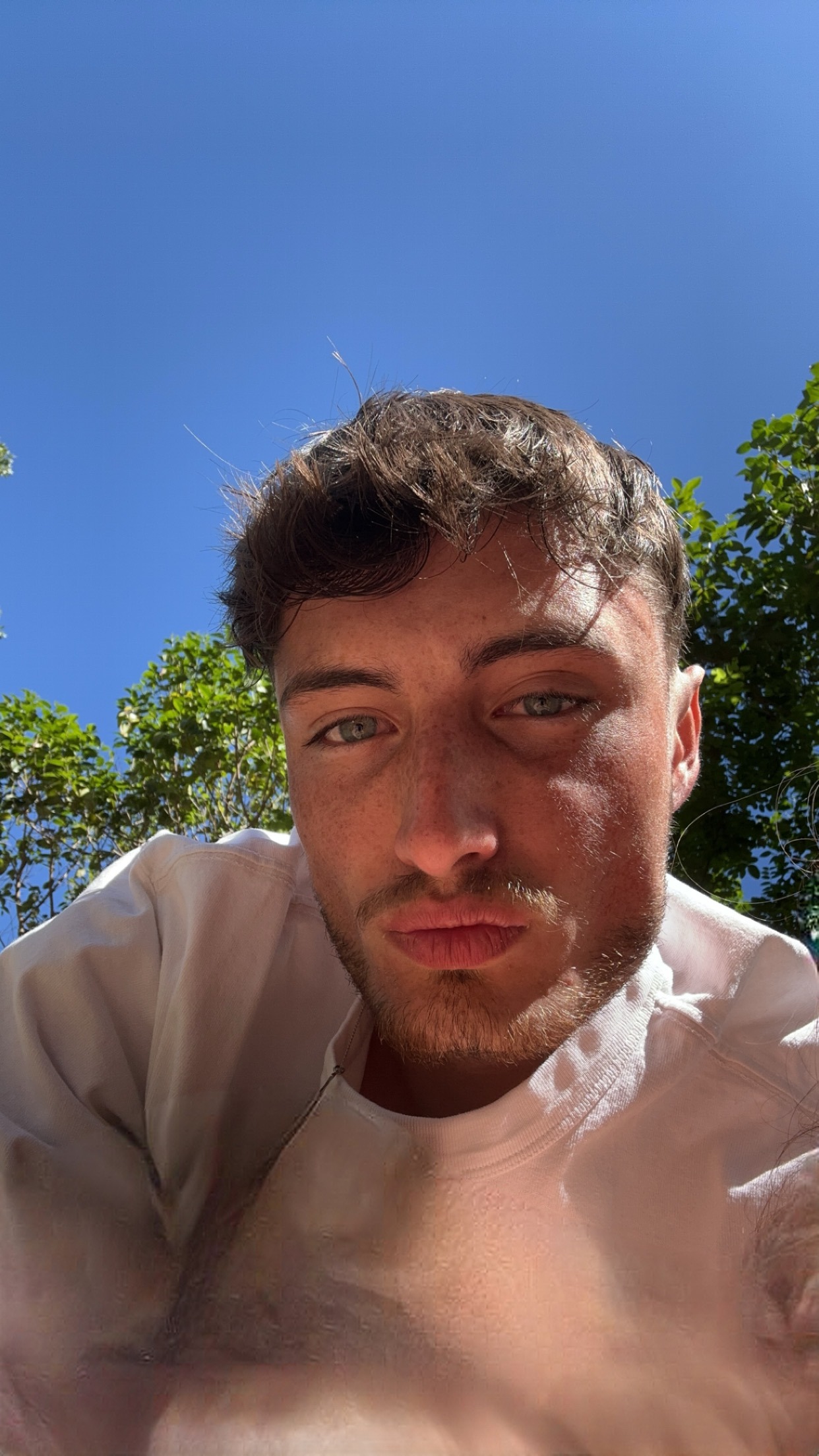 Profilo di Dieudonne